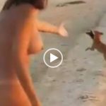Cachorro pega o biquíni da gostosa na praia